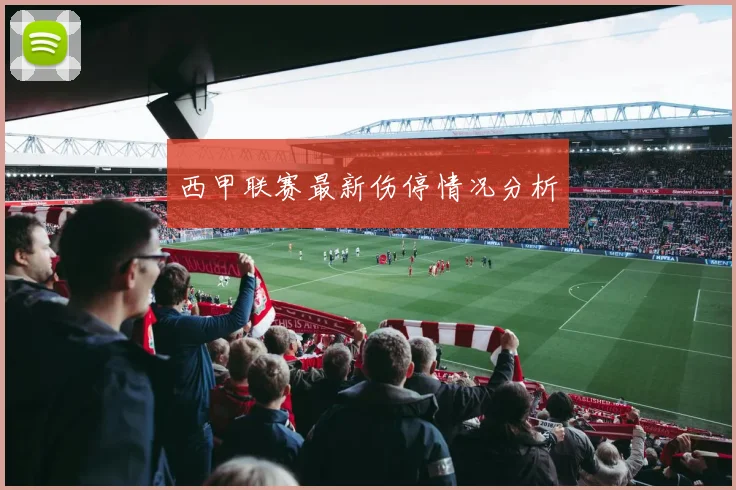 西甲联赛最新伤停情况分析