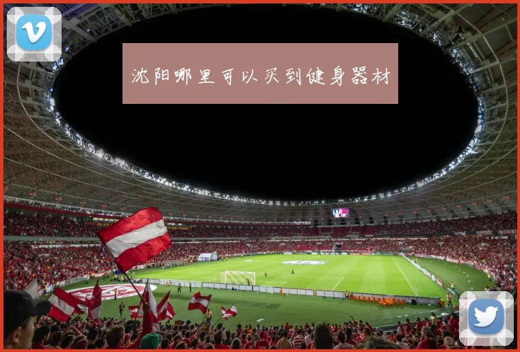 沈阳哪里可以买到健身器材